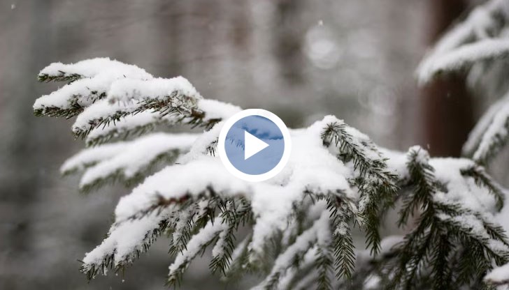 Днес преди обяд ще бъде облачно