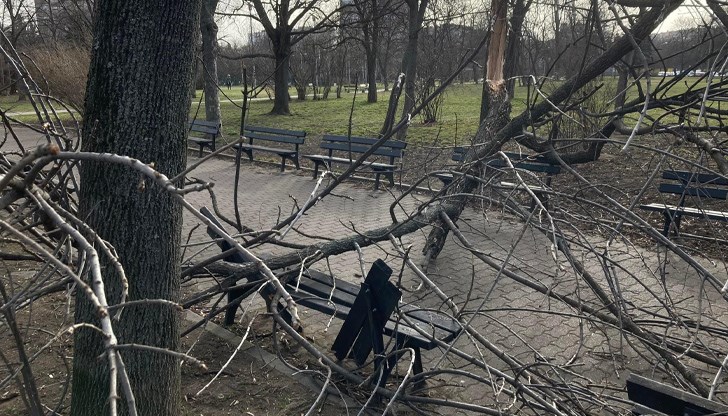 Стихията не подмина и Русе