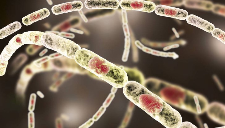 Заразеният мъж е от село Владимирово, а заразата дошла от една от козите му, чието месо той консумирал