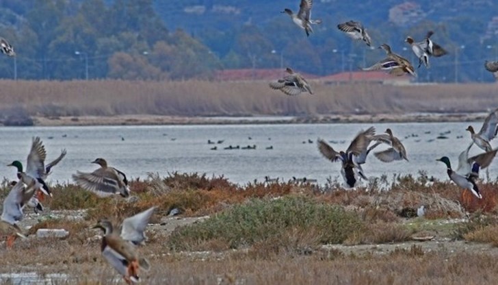 Посетителите на живописната лагуна Котихи през уикенда са се оказали свидетели на екологична катастрофа