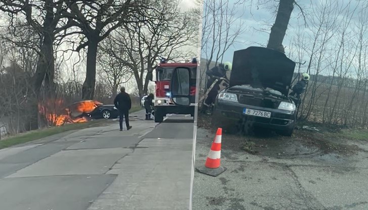 Пътният инцидент е станал по-рано днес във Варненско