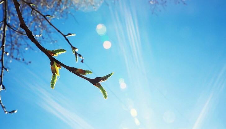 Нетипично топло време за февруари