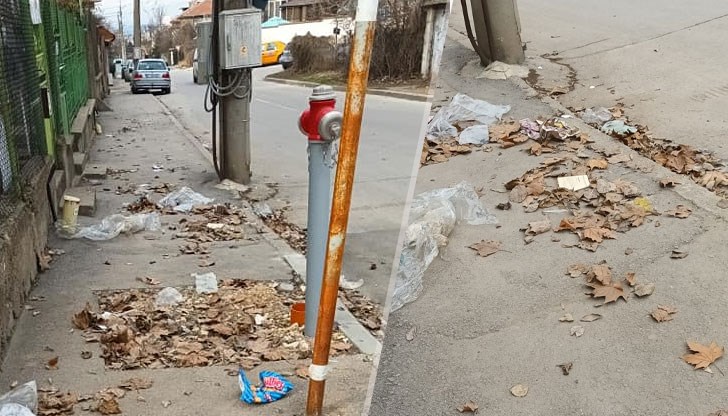 Снимки от социалната мрежа показаха струпани листа по тротоарите