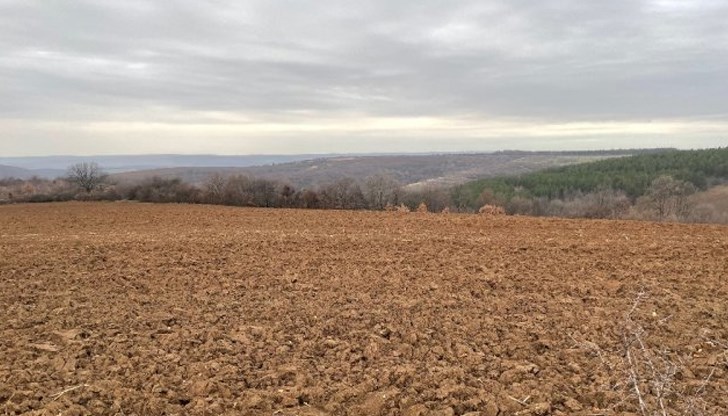 Декар земя в областта е бил продаден наскоро за 4500 лева Декар земя в областта е бил продаден наскоро за 4500 лева