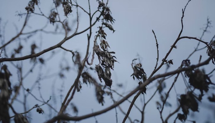 Валежите ще са предимно от дъжд Валежите ще са предимно от дъжд