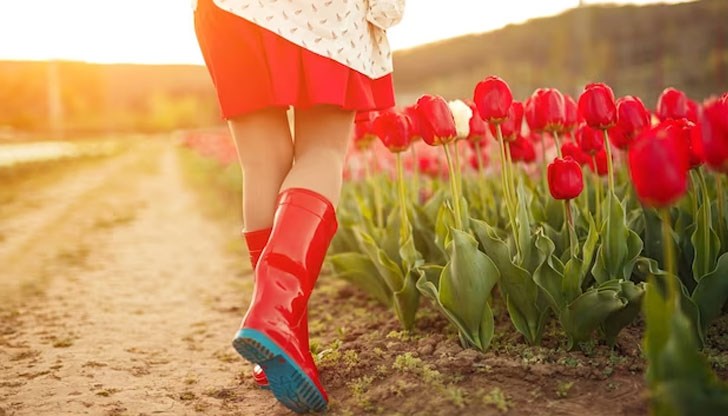 Вижте месечния хороскоп за всяка зодия Вижте месечния хороскоп за всяка зодия