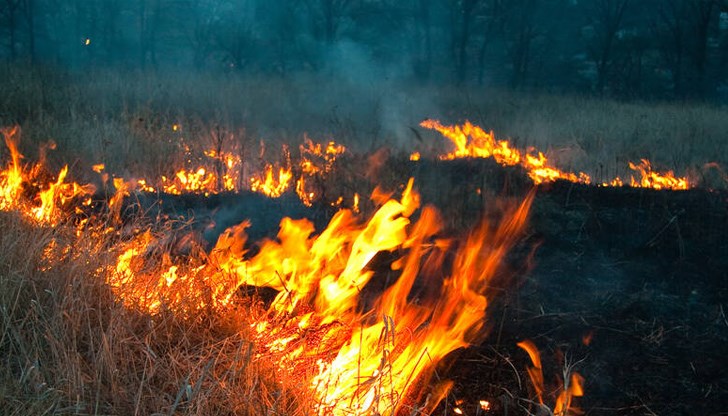 Унищожени са покритието на оранжерията, разсад и малко количество бали със слама Унищожени са покритието на оранжерията, разсад и малко количество бали със слама