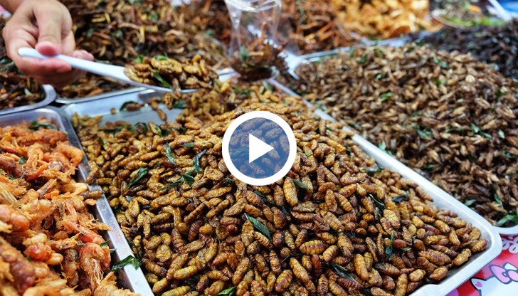 Насекомите съдържат определени хранителни вещества, но също се предполага, че могат да причинят алергии и автоимунни заболявания