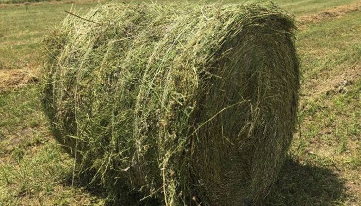 Извършителите са жители на село Ботров, откъдето са откраднати балите Извършителите са жители на село Ботров, откъдето са откраднати балите