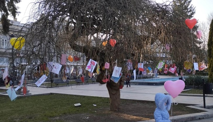 Дървото на влюбените пред Доходното здание "разцъфна" днес, окичено с валентинки