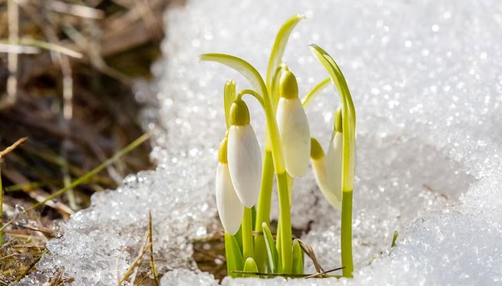 През деня ще бъде предимно слънчево със слаб югозападен вятър През деня ще бъде предимно слънчево със слаб югозападен вятър