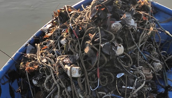 В участъка от Русе до Свищов, в румънската част на река Дунав, са унищожени три забранени риболовни уреда - кърмаци