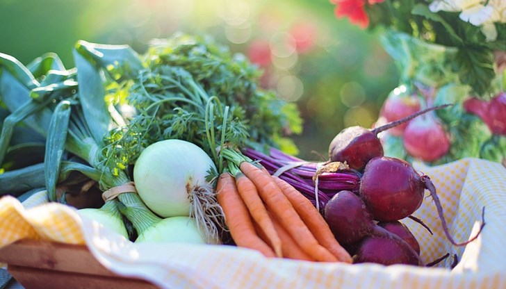 Морковите и цвеклото съдържат антиоксиданти и витамини
