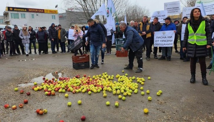 Това е само един от десетките лозунги, които днес недоволни членове от осем браншови организации от сектор „Плодове и зеленчуци“ понесоха на протеста си
