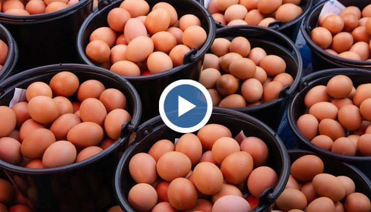 За последната година поскъпването при яйцата е около 80%, на места дори със 100%