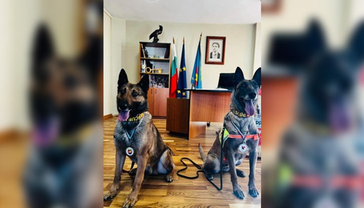 Кметът на Разлог изказа благодарност към Благой Максимов и Любчо Джолев и кучетата Хера и Нико