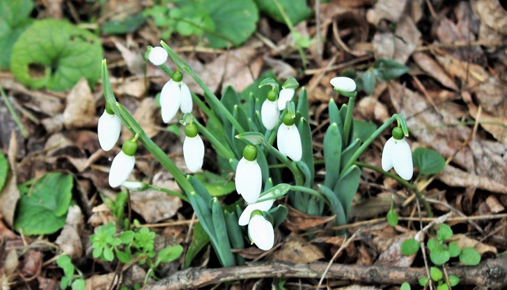 Новата седмица започва с дъжд, облаци и вятър в Източна България