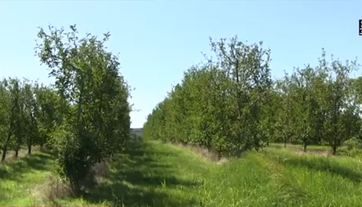 Заради увеличилите се разходи, част от производителите се отказват от