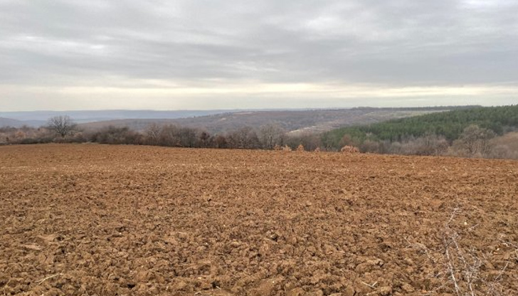 Търсенето е голямо, но няма предлаганеКак се движат цените на