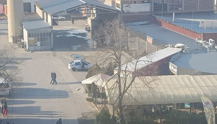 Шофьорът е бил пиян, с висока скорост е навлязъл в