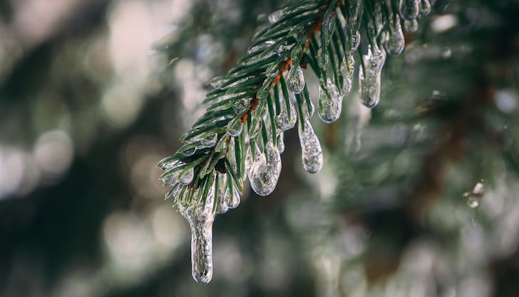 Температурите падат до минус 12 градусаЗимата ще демонстрира силата си