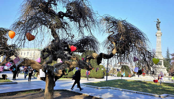 В Русе ще бъде слънчево с максимална температура 11°СПрез нощта
