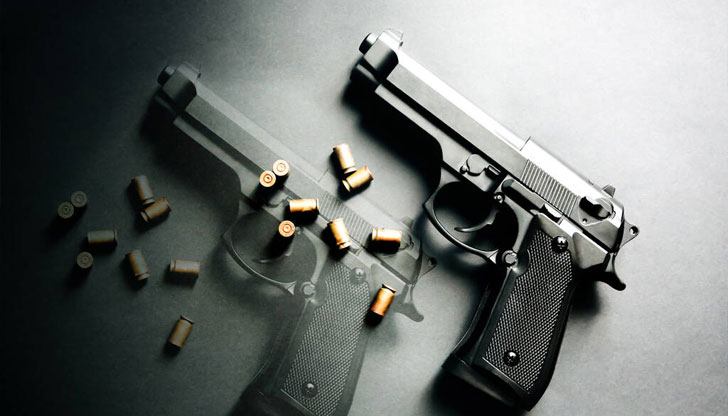 Издадени са 289 броя разрешения за износ и трансфер на