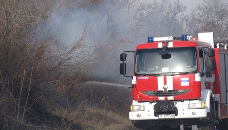 Паднало дърво върху платно по пътя за село Щръклево и