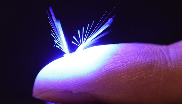 Създадоха лек като глухарче робот Фея за помощ в опрашването