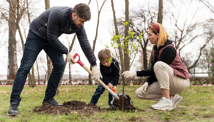 Не забравяйте, че трябва да го поливате през първите две