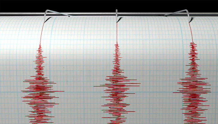 Най-силният трус е бил от 4,5 по скалата на РихтерЗеметресение