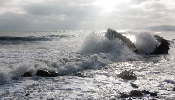 Трупът е на млад мъж, все още не е идентифициранТялото