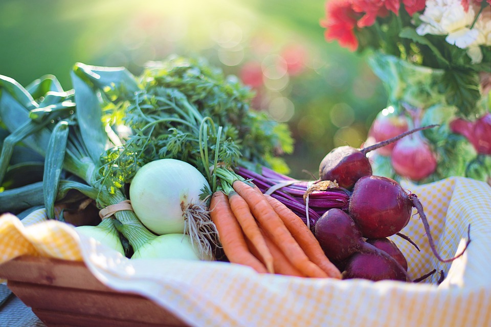 Морковите и цвеклото съдържат антиоксиданти и витаминиШведският диетолог Кристина Андерсън