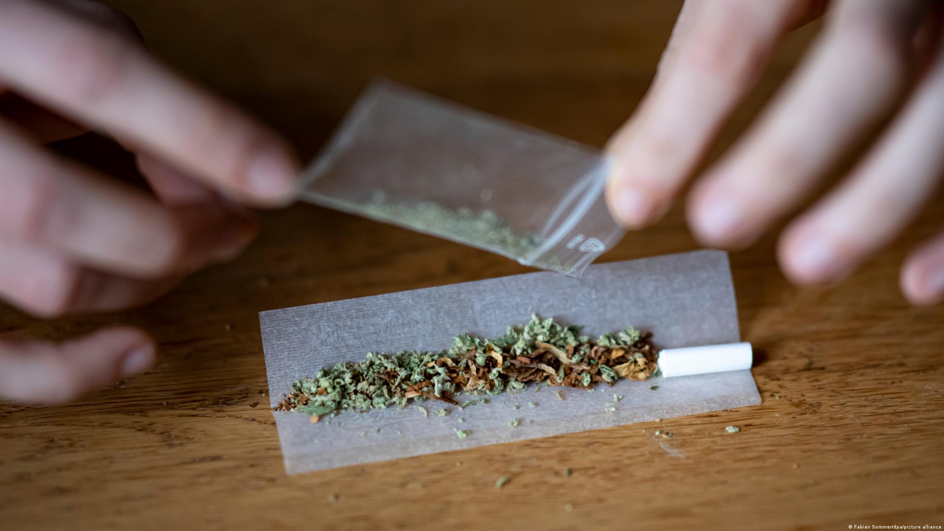 В него са се включили 4292 ученици на възраст между