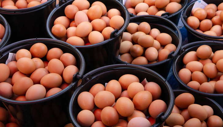 За последната година поскъпването при яйцата е около 80%, на