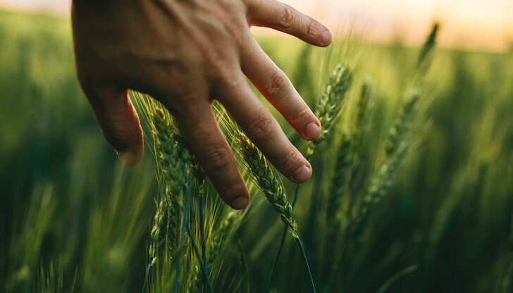 Невъзможно е стопаните да се справят с положението без субсидии,