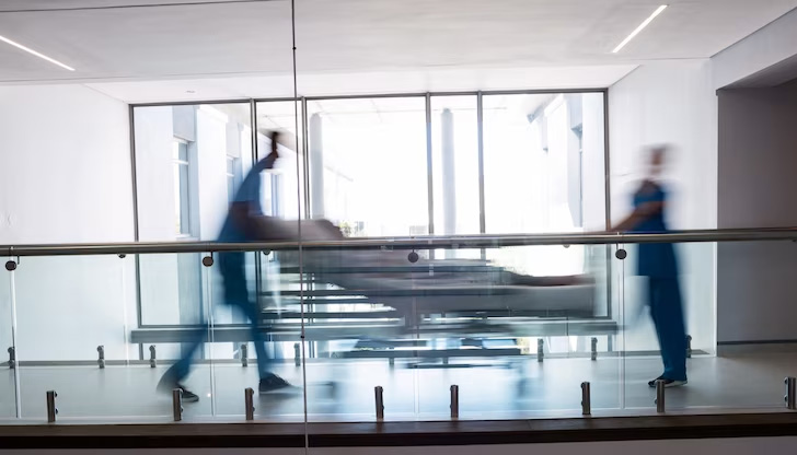 Броят им е по-голям спрямо предходните две годиниБлизо 10 800