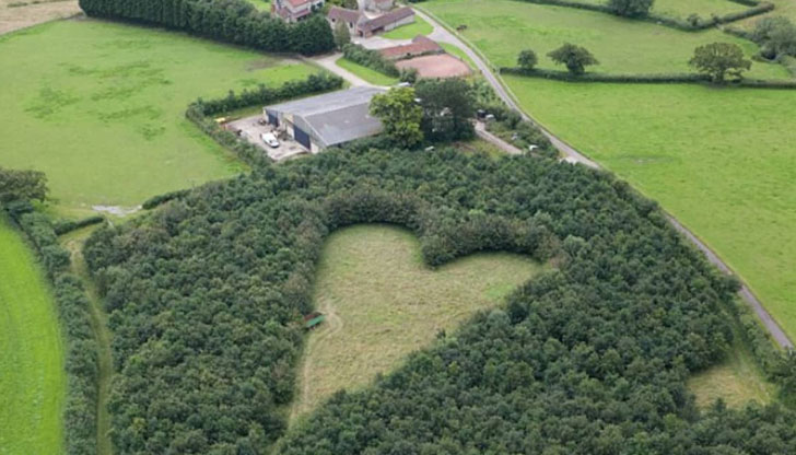 Той започва да работи по ливадата си преди десетилетия, когато