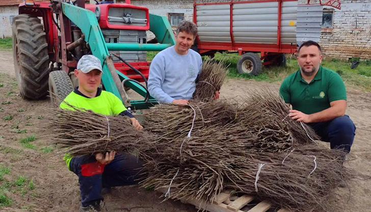 Акцията ще се състои от 11:00 часа на Вазата в