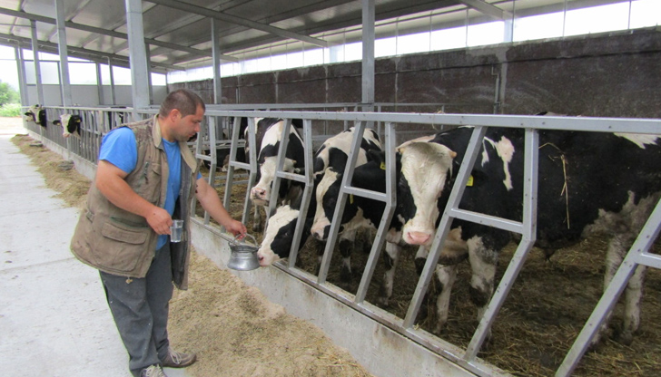 Печалбата остава в някого. В мътна вода се лови риба,
