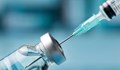 Френска лаборатория обяви обещаващи резултати за ваксина срещу Африканската чума по свинете