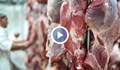 Животновъди: Продаваме месо на занижени цени