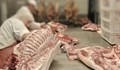 Животновъди: Ще има достатъчно българско агнешко месо за Великден