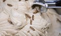 В Германия вече се предлага сладолед с вкус на щурец