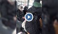 Джебчийки вилнеят в градския транспорт в София
