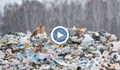 РИОСВ - Русе: Депата за отпадъци се запълват бързо