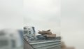 Колона от танкове стресна шофьорите по магистрала "Тракия"