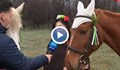 Ездачи отбелязват 3-ти март с конен поход до Шипка