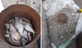 Незаконни мрежи и улов са установили служителите от сектор „Рибарство и контрол“ край Русе