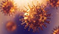 Четири нови случаи на коронавирус в Русе